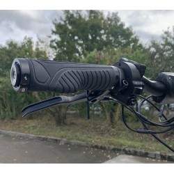 Sharkset RS1 — dva dvigatelya moshchnost'yu 1400 Vt, akkumulyator 20 Ach, zapas khoda ot 50 do 70 km. Sharkset - 6 Sharkset RS1 