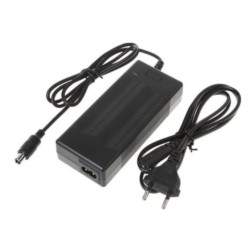 Vidinis akumuliatoriaus įkroviklis Segway Ninebot F2, F2 Plus, F2 Pro ar panašiam elektriniam paspirtukui Segway - Ninebot - 4 V