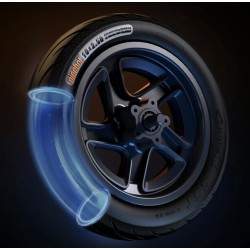 Jantă față completă cu disc de frână pentru Segway F2, F2 Plus, F2 Pro sau similar - 10x2,5 inci Segway - Ninebot - 6 Jantă față