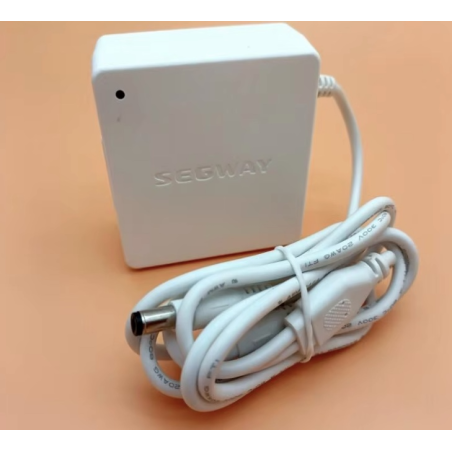 Chargeur de batterie interne d'origine pour Segway Ninebot W1 Drift - 25v 1.5A  - 1 Chargeur de batterie interne d'origine pour 